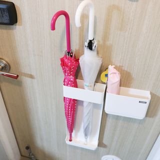 마이또또님이 올린 리뷰 사진 2
