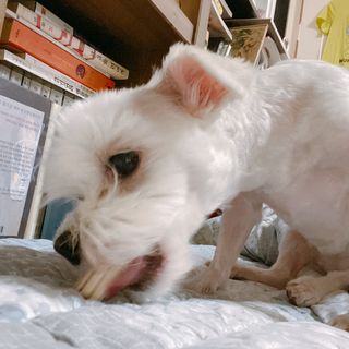 그래그래님이 올린 리뷰 사진 3