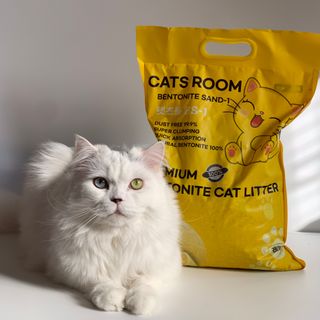 겟플렉스 켓플렉스 캣츠룸BS-1 고양이모래 4kg — 5점을 준 리뷰어가 2021년 3월 올린 사용 사진