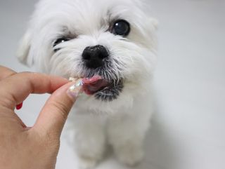 송린깡님이 올린 리뷰 사진 2
