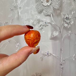 레드닥터 통째로 동결건조한 대추방울토마토 20g * 4봉 — 5점을 준 리뷰어가 2022년 11월 올린 사용 사진