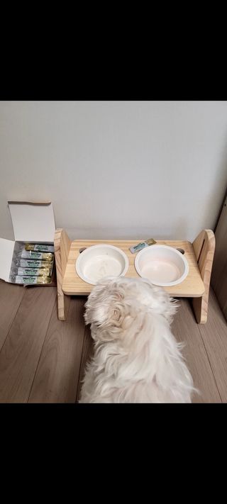 둥가둥가우리도도님이 올린 리뷰 사진 1