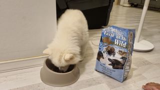 제프님이 올린 리뷰 사진 2
