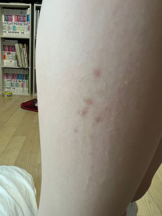 이현서님이 올린 리뷰 사진 3