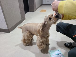 쏘짱님이 올린 리뷰 사진 2