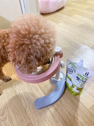 파이님이 올린 리뷰 사진 2