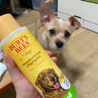 세지니힛님이 올린 리뷰 사진 3