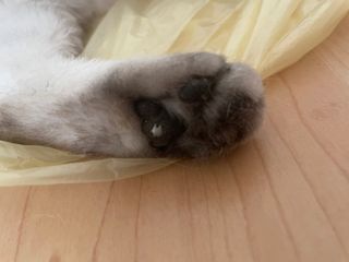 하루방울집사님이 올린 리뷰 사진 4