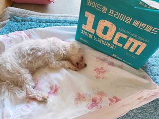 ejejejluv님이 올린 리뷰 사진 1