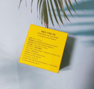 케이이이님이 올린 리뷰 사진 4