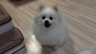 EunJin님이 올린 리뷰 사진 3