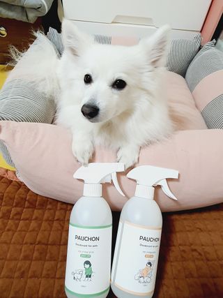 둥글이님이 올린 리뷰 사진 2