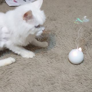 suususu님이 올린 리뷰 사진 4