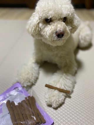 파라오겅쭈님이 올린 리뷰 사진 1