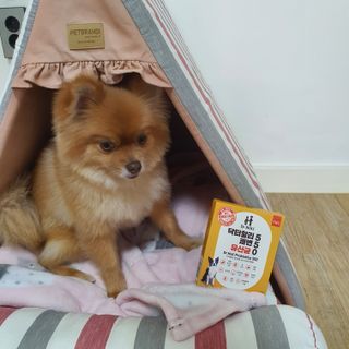 미뎡님이 올린 리뷰 사진 2