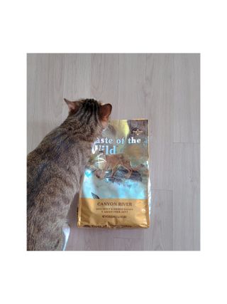olvelynn님이 올린 리뷰 사진 2