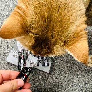 고고고님이 올린 리뷰 사진 3