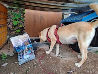 천도님이 올린 리뷰 사진 2