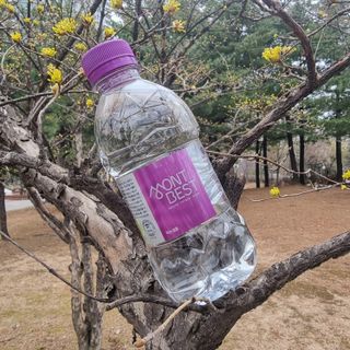 몽베스트 [MONTBEST] 330mL 20병 — 5점을 준 리뷰어가 2022년 3월 올린 사용 사진