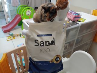 Jaehoon.y님이 올린 리뷰 사진 1