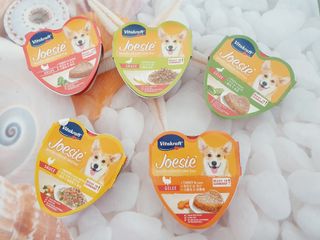 비타크래프트 조에시 하트캔 85g 강아지 습식캔 10캔 — 5점을 준 리뷰어가 2021년 10월 올린 사용 사진