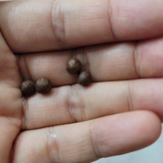 영님이 올린 리뷰 사진 3