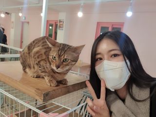 아이리님이 올린 리뷰 사진 1