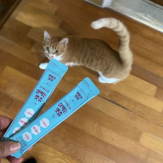 페페로니 잘 먹는 캣츄 - 원양선 참치 24개입 — 5점을 준 리뷰어가 2021년 10월 올린 사용 사진