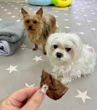 똥지님이 올린 리뷰 사진 3