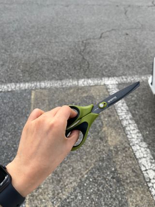 노룽지님이 올린 리뷰 사진 2