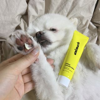 오랑이님이 올린 리뷰 사진 1