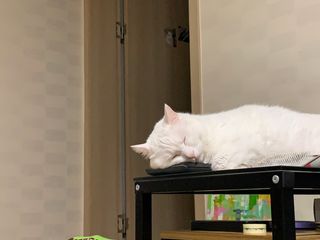 ㄹ진님이 올린 리뷰 사진 2