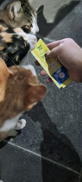진쓰님이 올린 리뷰 사진 3