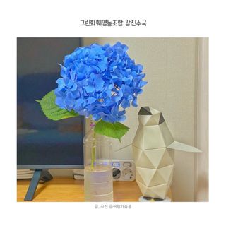쥬롱이님이 올린 리뷰 사진 1