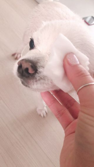 designerjoo님이 올린 리뷰 사진 4