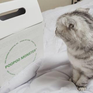 유햐님이 올린 리뷰 사진 2
