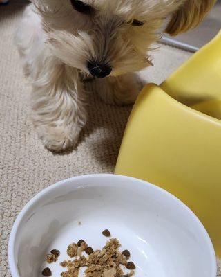 꼬꼬마눈사람님이 올린 리뷰 사진 4