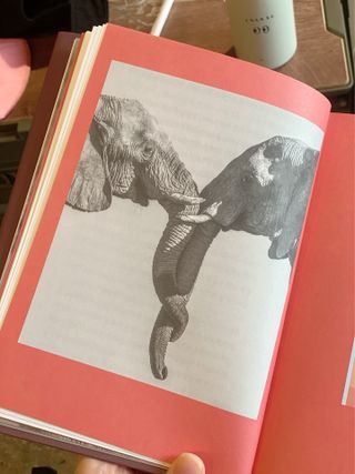 fateartist님이 올린 리뷰 사진 2