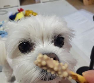 뽀오오옹님이 올린 리뷰 사진 1