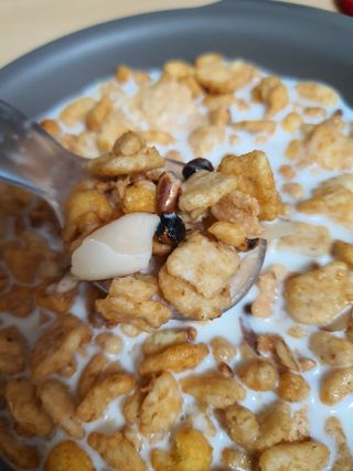 narihalmany님이 올린 리뷰 사진 1