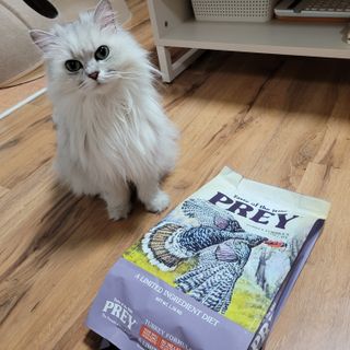 먹보옷님이 올린 리뷰 사진 1