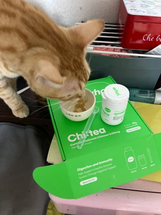 나린마마님이 올린 리뷰 사진 1