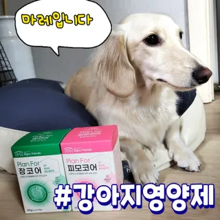 PDKIM님이 올린 리뷰 사진 1