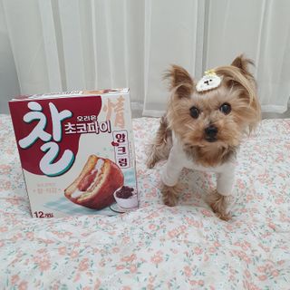 솜희님이 올린 리뷰 사진 3
