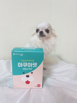 펫시랩 반려견용 액상 프리바이오틱스 아쿠아펫 — 4.5점을 준 리뷰어가 2021년 1월 올린 사용 사진