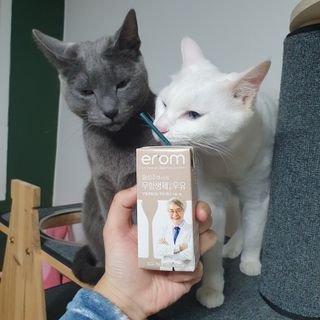 엘보리님이 올린 리뷰 사진 1