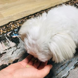 이아님이 올린 리뷰 사진 4