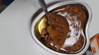 비타크래프트 조에시 하트캔 85g 강아지 습식캔 10캔 — 5점을 준 리뷰어가 2021년 10월 올린 사용 사진