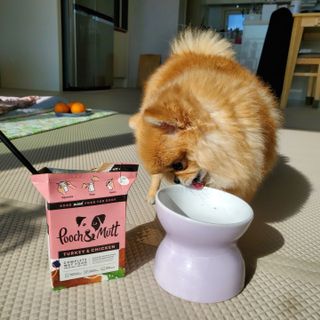 🌷 킴블리 🌷님이 올린 리뷰 사진 2