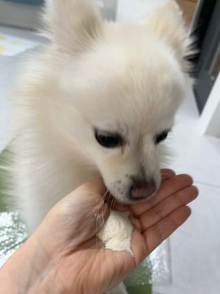 [몸엔용] 에버업 멀티비타민&미네랄, 눈건강 루테인 혈행건강 오메가3, 면역 프로바이오틱스 3종 택1 — 5점을 준 리뷰어가 2022년 4월 올린 사용 사진